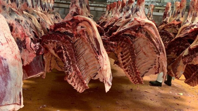 中国进口牛肉保障措施将调查来自10个国家的22家牛肉进口公司（附名单）