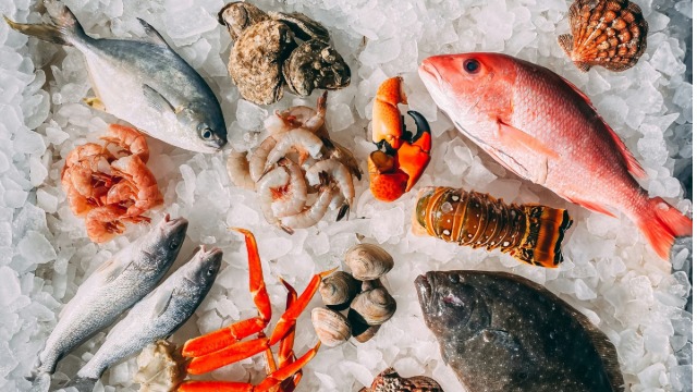 外贸代理硬核&nbsp;buff！冷冻金枪鱼冷链运输全程&nbsp;0&nbsp;断链