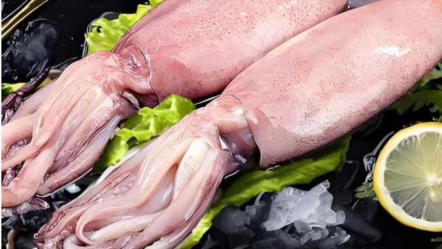 选对外贸代理：冷冻鱿鱼冷链&nbsp;0&nbsp;断链配送