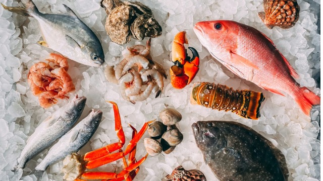 上海保税仓&nbsp;| 破解海鲜期货资金与仓储风控难题 - 澳群供应链