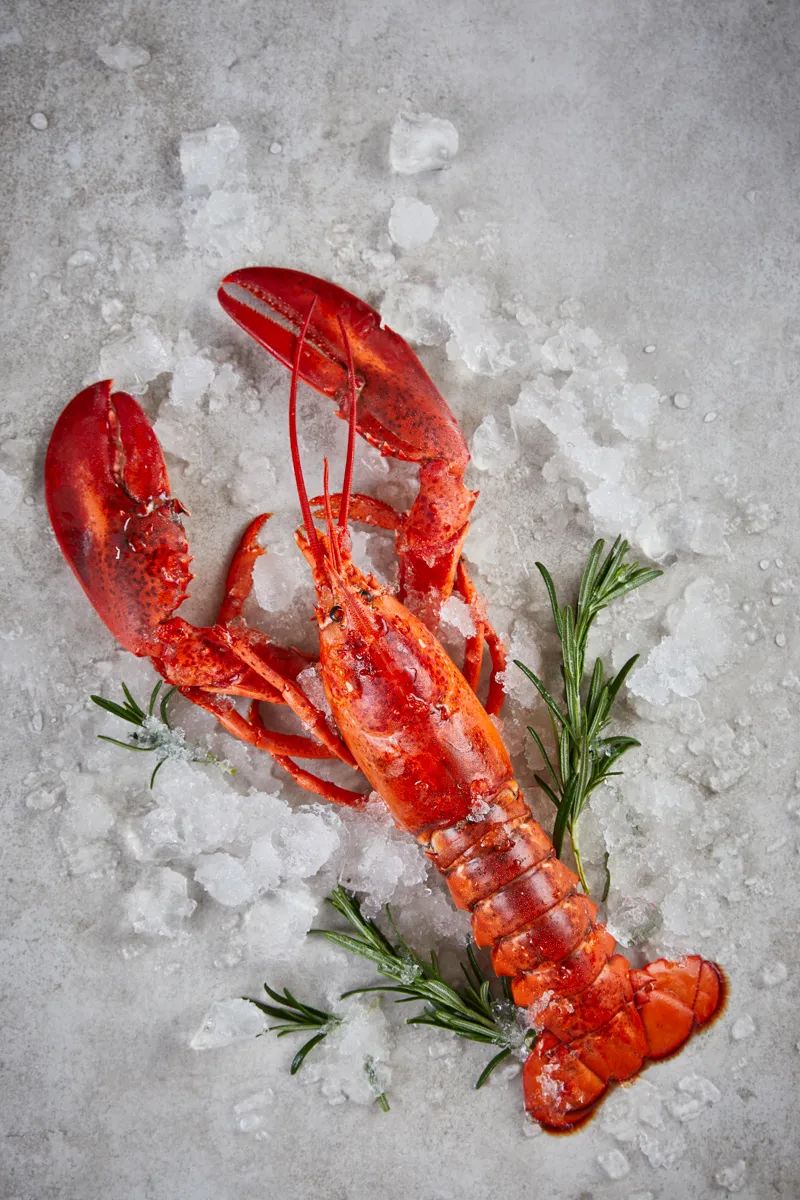 696e5914a0050b6c0d883588966db4f4