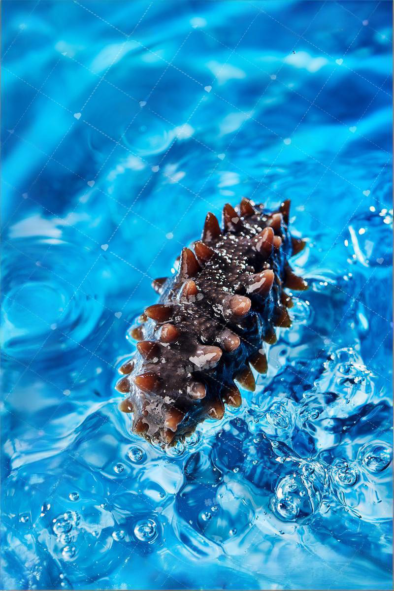 进口外贸代理,澳群供应链,RCEP食品贸易,保税仓分拨食品冷链，食品冷藏，食品冷库，多温区保税冷库